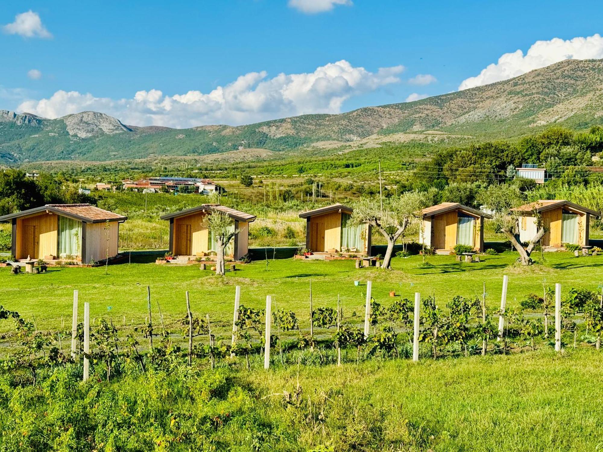 Fishta - Mrizi I Zanave Casa vacanze